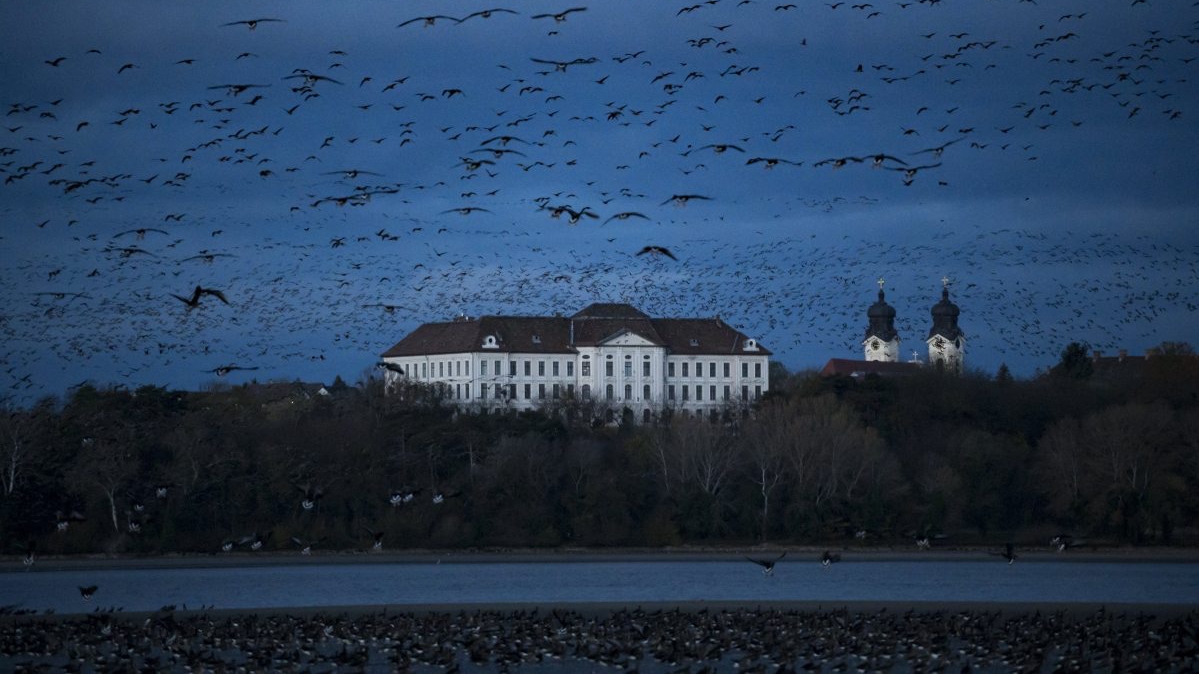 Élővizek városa a kultúra hullámain